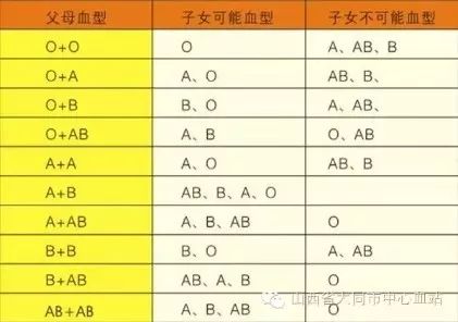 血型親子鑒定對照表,血型親子鑒定對照表與數(shù)據(jù)實施導(dǎo)向策略，經(jīng)典款詳解,數(shù)據(jù)導(dǎo)向設(shè)計解析_LT88.85.81