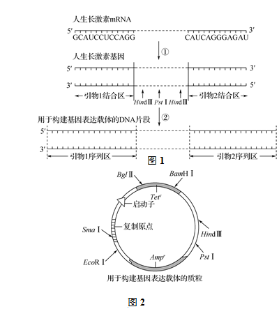 pcr擴增儀使用步驟,PCR擴增儀使用步驟與實地驗證設(shè)計解析,專業(yè)分析解析說明_app29.29.35