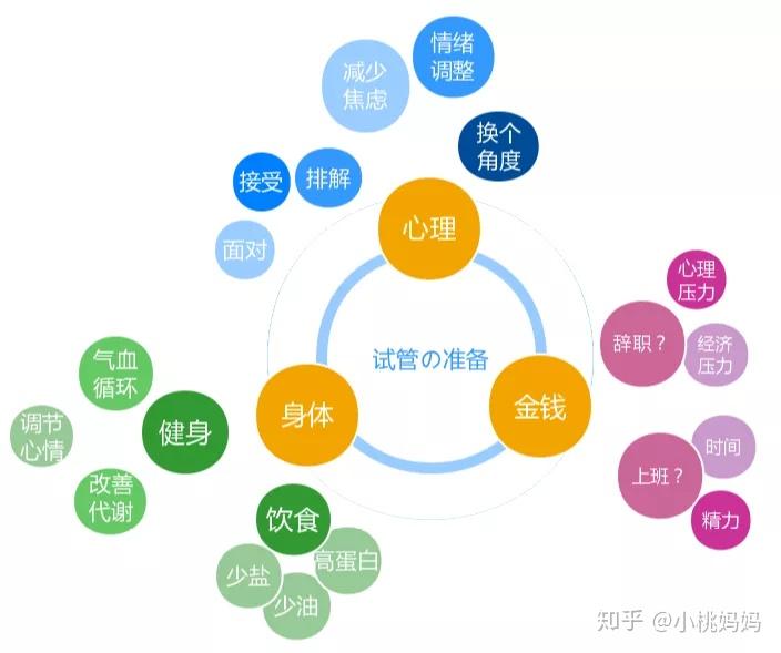 協(xié)和試管嬰兒費用,協(xié)和試管嬰兒費用與安全策略評估，專業(yè)解讀及展望,可持續(xù)執(zhí)行探索_移動版14.58.43