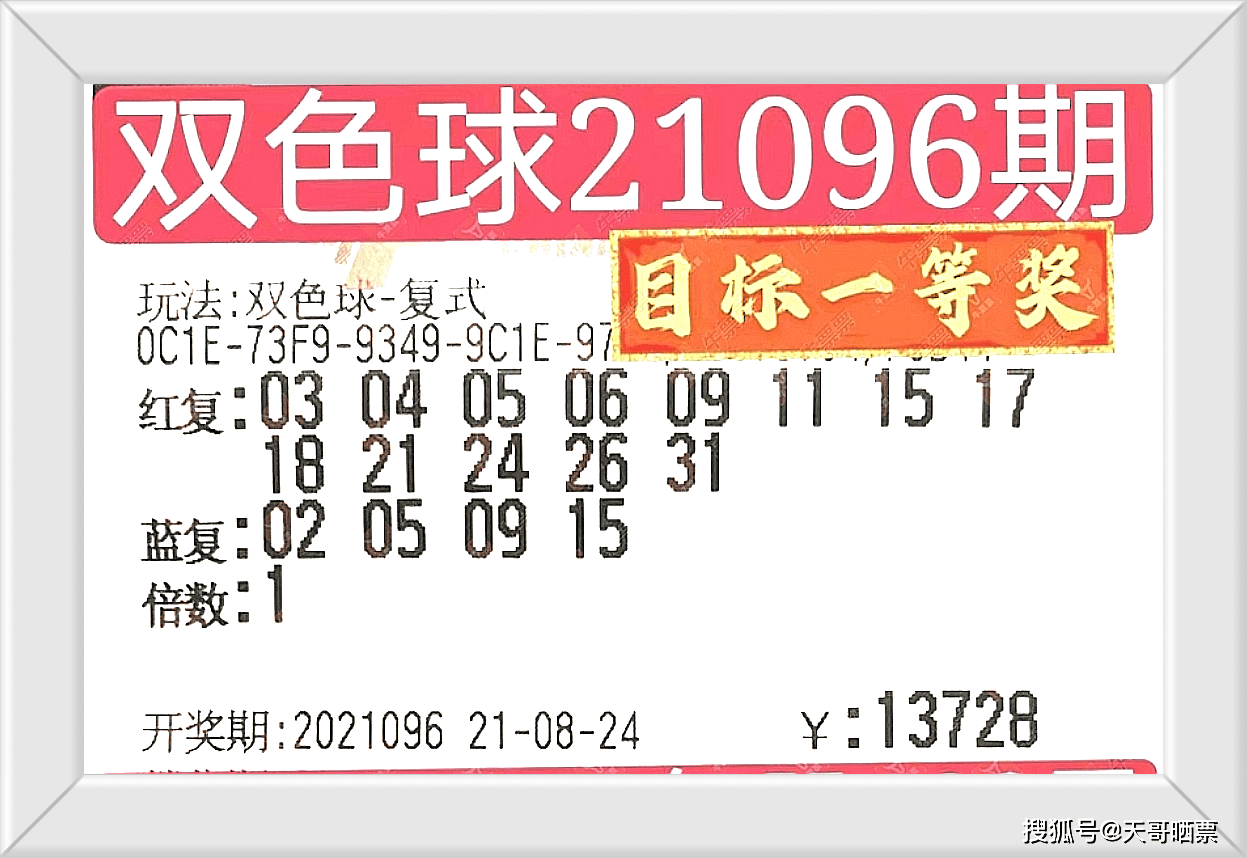 新奧門開獎結(jié)果2025香港,新奧門開獎結(jié)果2025香港，詮釋、說明與解析——版版67.79.88,實地分析數(shù)據(jù)應(yīng)用_pack26.17.23