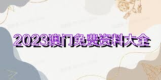 澳門內(nèi)部正版資料2023年資料,澳門內(nèi)部正版資料全面解析與規(guī)劃展望（2023年）,迅速設(shè)計(jì)解答方案_擴(kuò)展版24.74.66