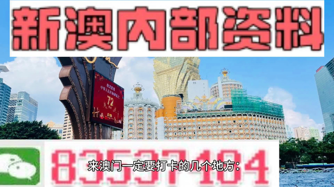 261新澳門內(nèi)幕資料,揭秘澳門內(nèi)幕，精細(xì)解析與創(chuàng)意展望——以澳門為靈感的故事探索,實地數(shù)據(jù)驗證實施_進(jìn)階版93.23.93