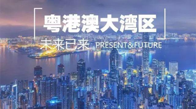 2025年今晚澳門開什么號(hào)碼,探索未來，數(shù)據(jù)策略在澳門的發(fā)展之路,定量分析解釋定義_基礎(chǔ)版81.92.95