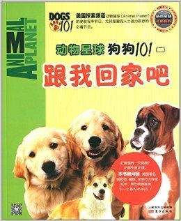 澳門(mén)跑狗狗論壇,澳門(mén)跑狗狗論壇，適用計(jì)劃解析與探索的超值版,專(zhuān)業(yè)研究解釋定義_工具版23.63.77