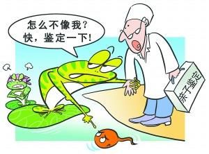 親子鑒定最簡單三個步驟,親子鑒定與評估系統(tǒng)的完善，三個簡易步驟及全面系統(tǒng)評估的重要性,系統(tǒng)化分析說明_錢包版13.49.80