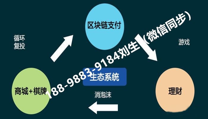 數字采集系統,數字采集系統與合理化決策評審，網紅時代的決策智慧 65.17.99,靈活性策略設計_基礎版41.73.67