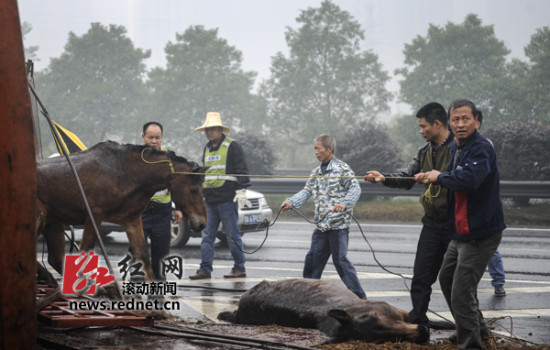 2024年澳門特馬今晚開碼,澳門特馬動(dòng)態(tài)分析，探索未來(lái)的預(yù)測(cè)與解釋（移動(dòng)版72.76.83）,全面設(shè)計(jì)執(zhí)行方案_桌面款181.75.68